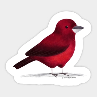 Crimson Backed Tanager Sticker